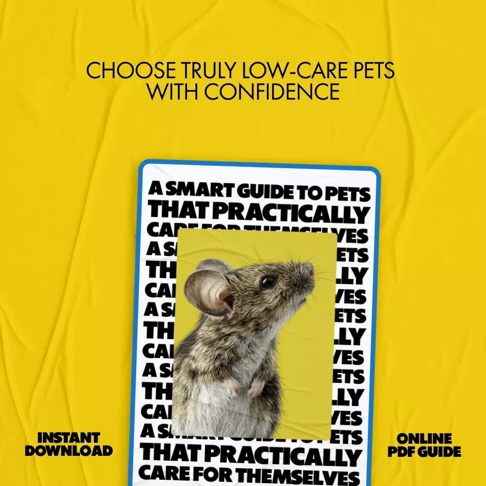 A Smart Guide to Pets That Practically Care for Themselves | Low-Maintenance Pet Guide for Beginners | Learn which pets need the least care