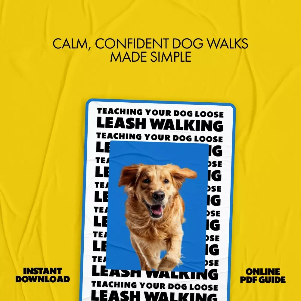Teaching Your Dog Loose Leash Walking | Dog Training Guide for Calm Walks | Digital Download for Puppy Owners & Dog Parents
