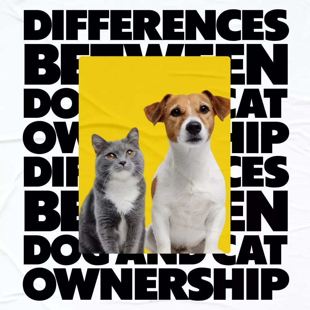 Paws, Purrs, and Practicalities: Choosing Between a Dog and a Cat | Digital Pet Guide on the Differences Between Dog and Cat Ownership | Smart Decision Checklist & Lifestyle Fit eBook