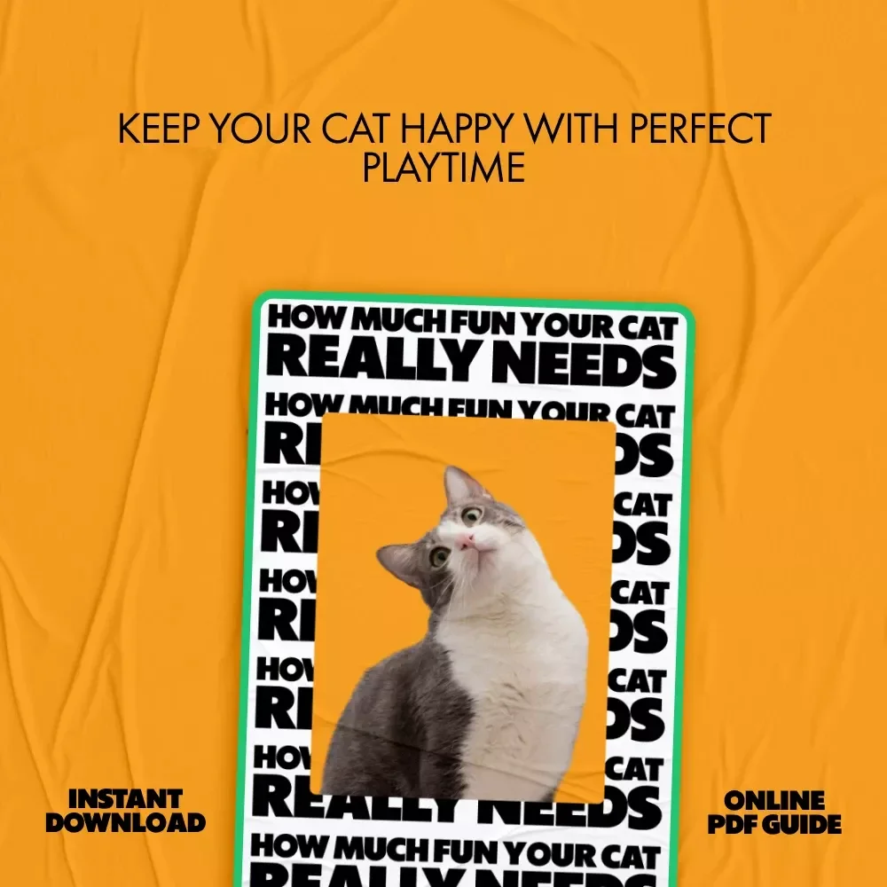 How Much Fun Your Cat Really Needs: The Ultimate Guide to Understanding How Much Play Does My Cat Need for a Happy, Healthy Feline