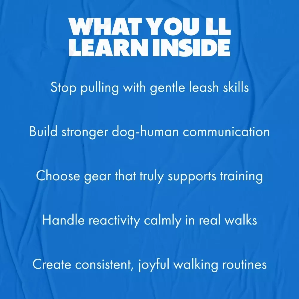Basics of Dog Leash Walking | Dog Training Digital Download Guide, Loose-Leash Walking Tips, Puppy Training eBook, Pet Owner Checklist & Training Support