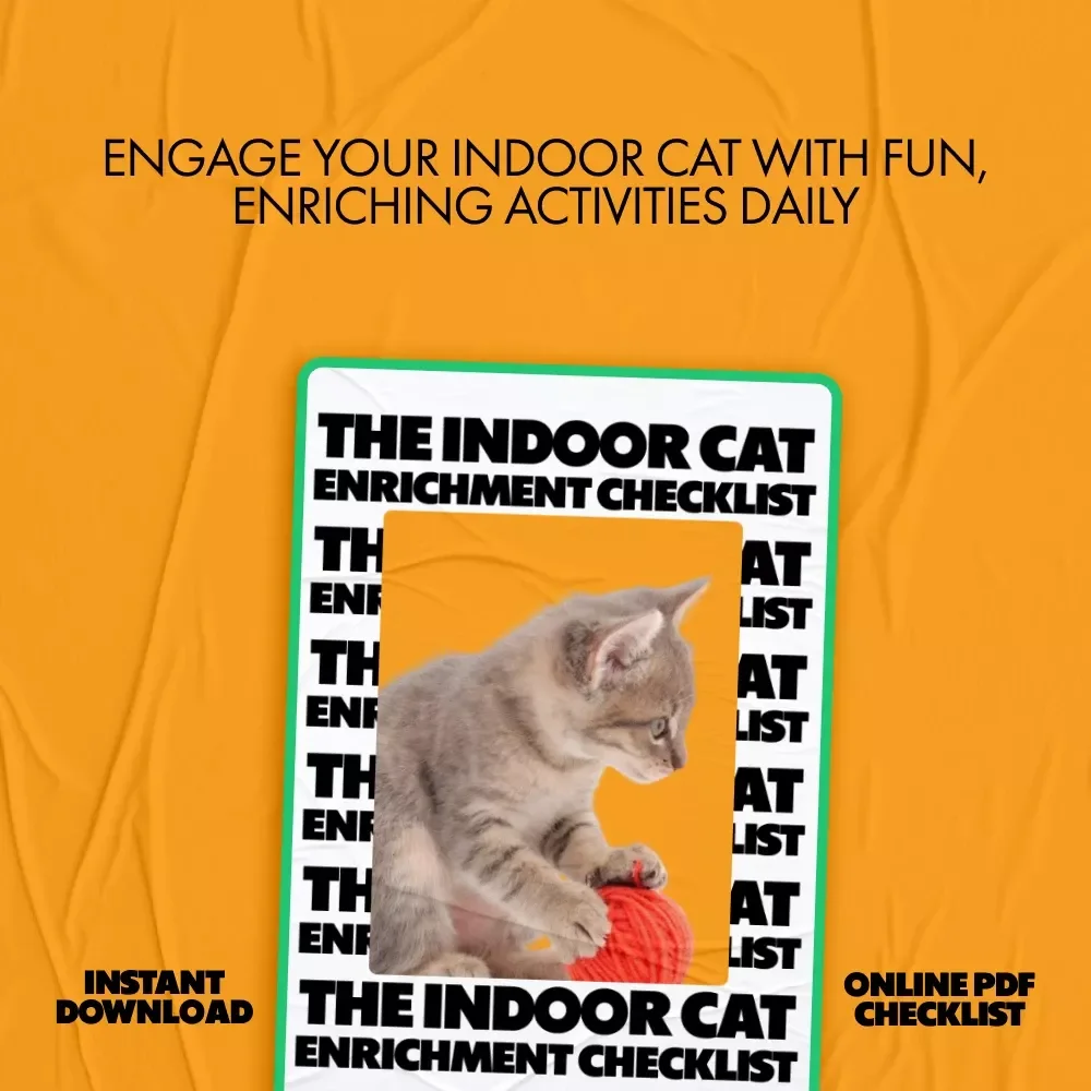 The Indoor Cat Enrichment Checklist: Best Indoor Enrichment for Cats to Keep Them Happy and Stimulated
