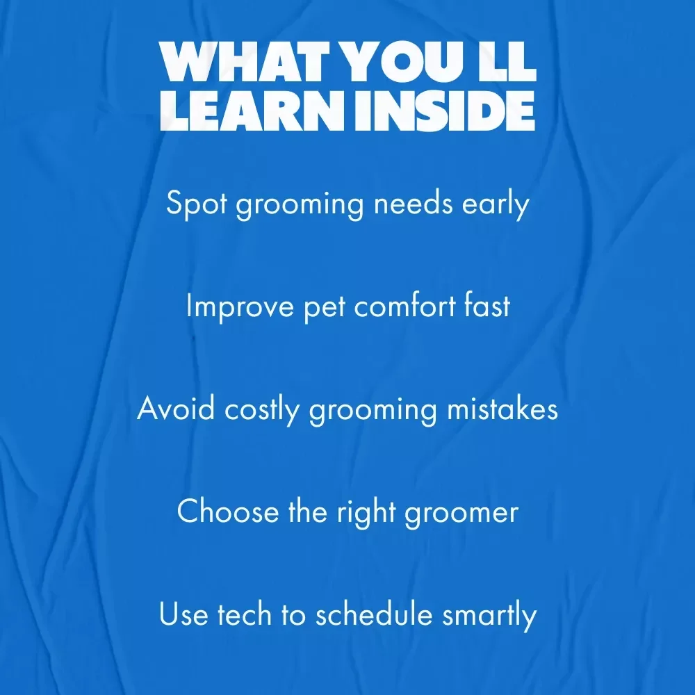 Paws & Professional Care: When to Call the Groomer | Pet Grooming Guide on When to Get Professional Grooming for Dogs & Cats