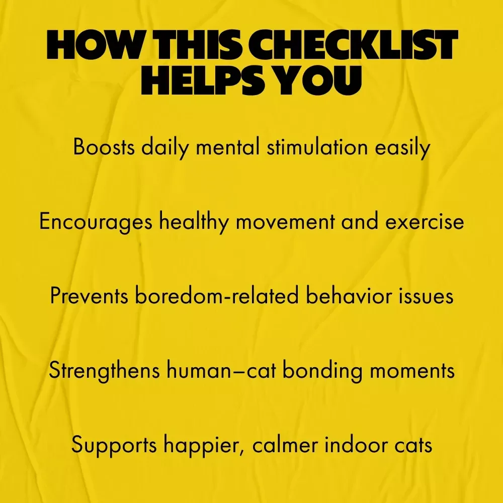 Purrfect Indoor Cat Enrichment Checklist | Enrichment for Bored Indoor Cats