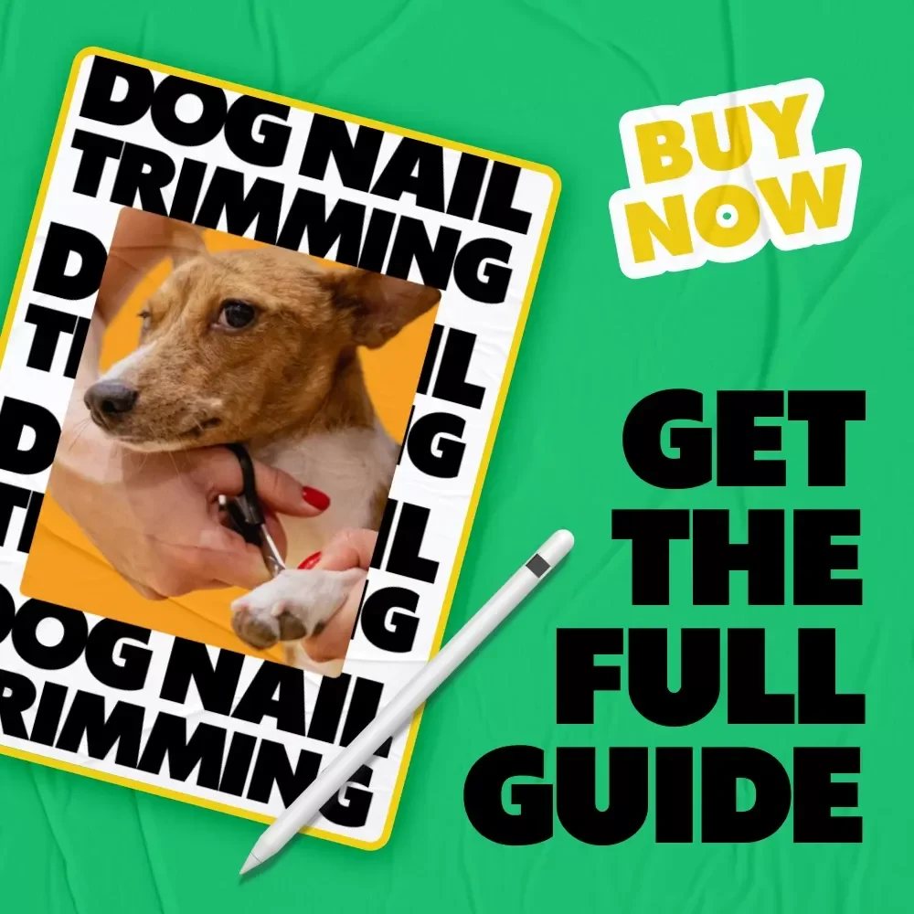 Dog Nail Trimming Guide: Expert Tips, Tools, and Techniques for Healthy Paws
