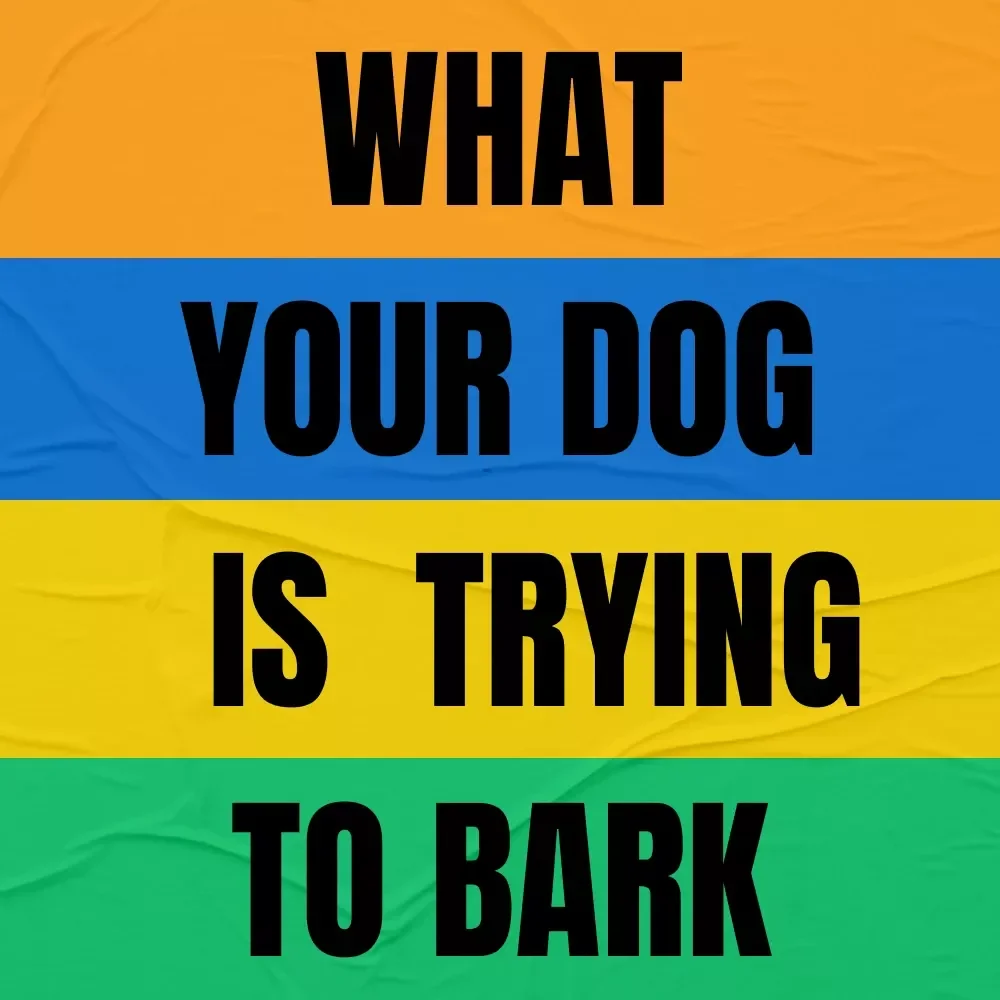 What Your Dog is Really Trying to Bark – A Practical Guide to Dog Barking Meaning Explained for Calm, Confident Owners