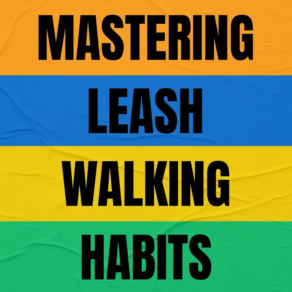 Mastering the Best Leash Walking Habits | Dog Training Digital Download | Loose-Leash Walking Guide | Leash Walking Tips for Calm, Happy Walks | Dog Behavior & Training eBook