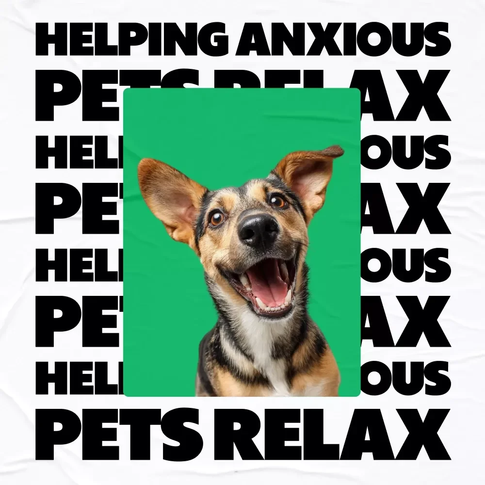 Helping Anxious Pets Relax | Digital eBook Guide for Pet Parents | Holistic Calming Tips & Real-Life Strategies | how to help anxious pets calm down | Anxiety Support for Dogs & Cats