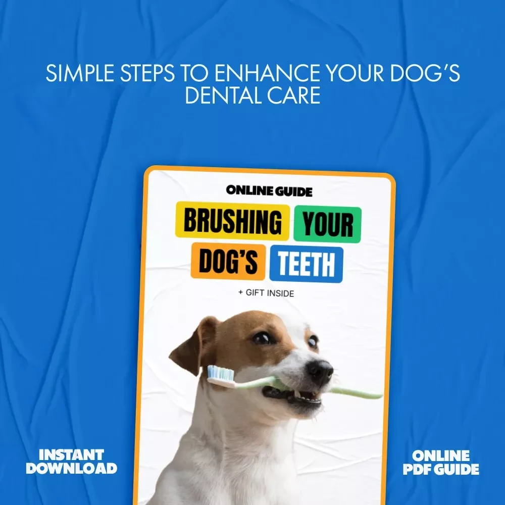 Brushing Your Dog’s Teeth: The Ultimate Guide to Healthy Smiles and Fresh Breath