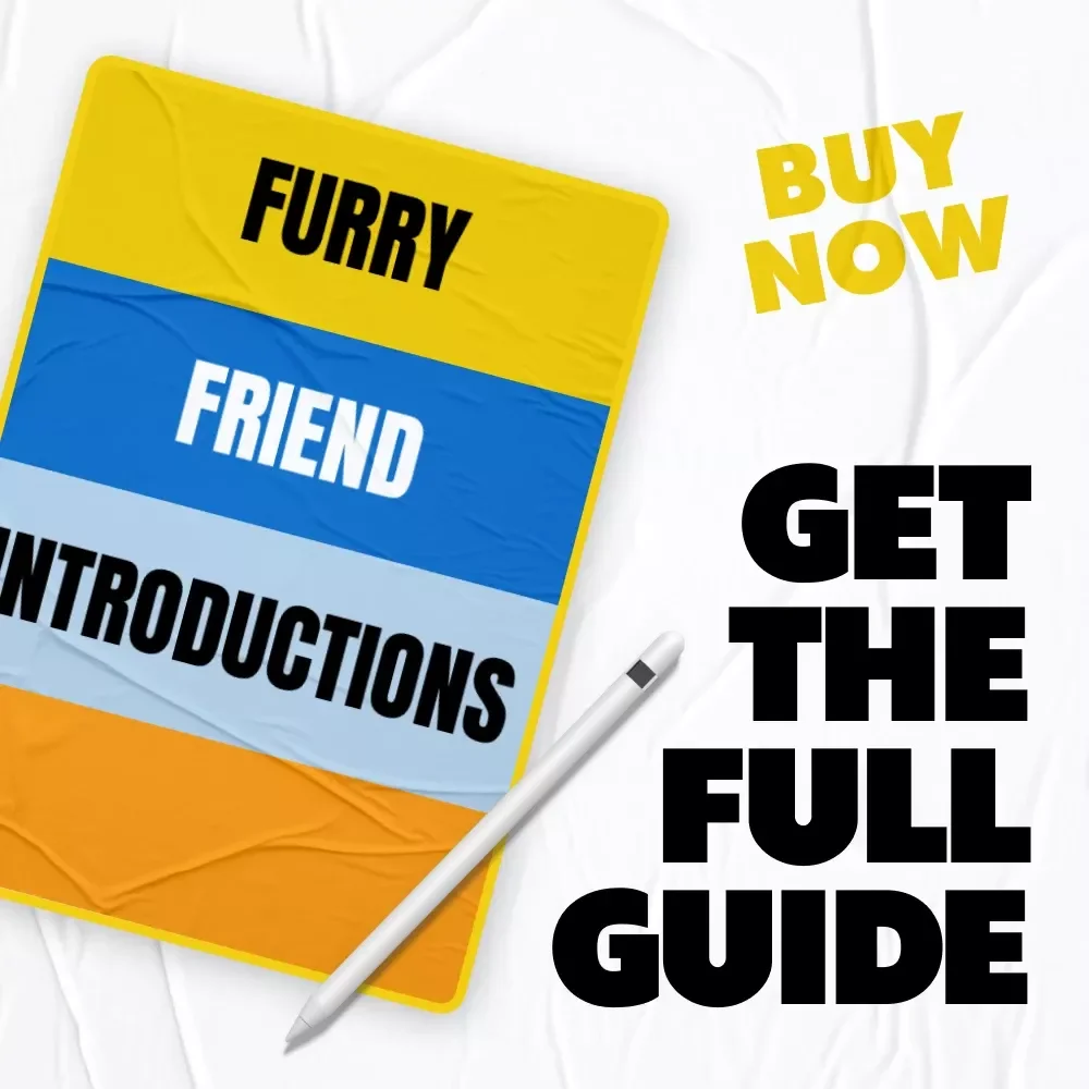 Furry Friend Introductions: The Ultimate eBook Guide to Introducing Pets to Each Other
