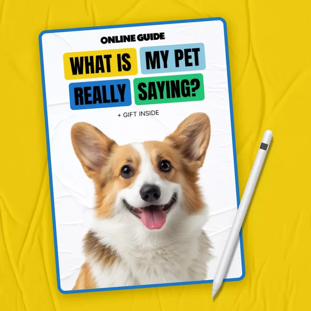 What Is My Pet Really Saying? | Smart Pet Behavior Guide Using AI Pet Behavior Analysis Tools for Curious Pet Parents