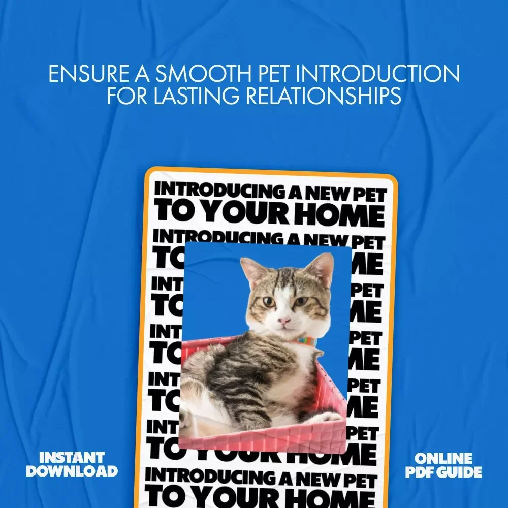 Introducing a New Pet to Your Home: Your Ultimate Guide to a Smooth Transition