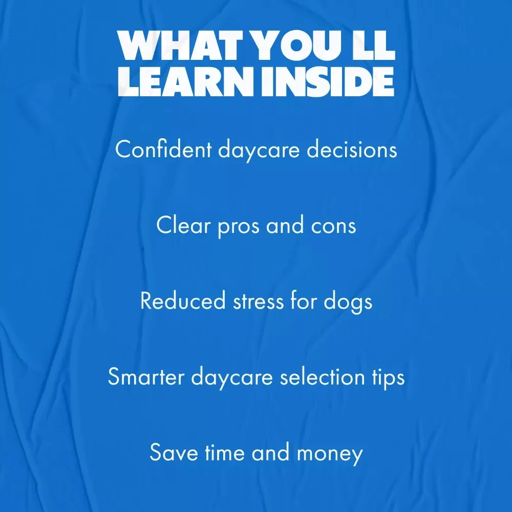 Dog Daycare Pros and Cons – Practical Guide for Pet Parents | Smart Decisions About Daycare, Socialization, Costs & Care