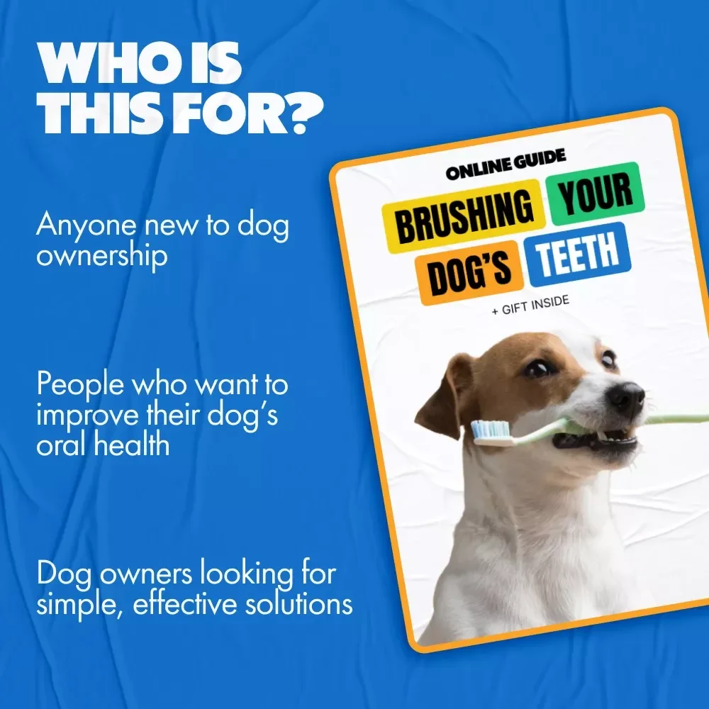 Brushing Your Dog’s Teeth: The Ultimate Guide to Healthy Smiles and Fresh Breath