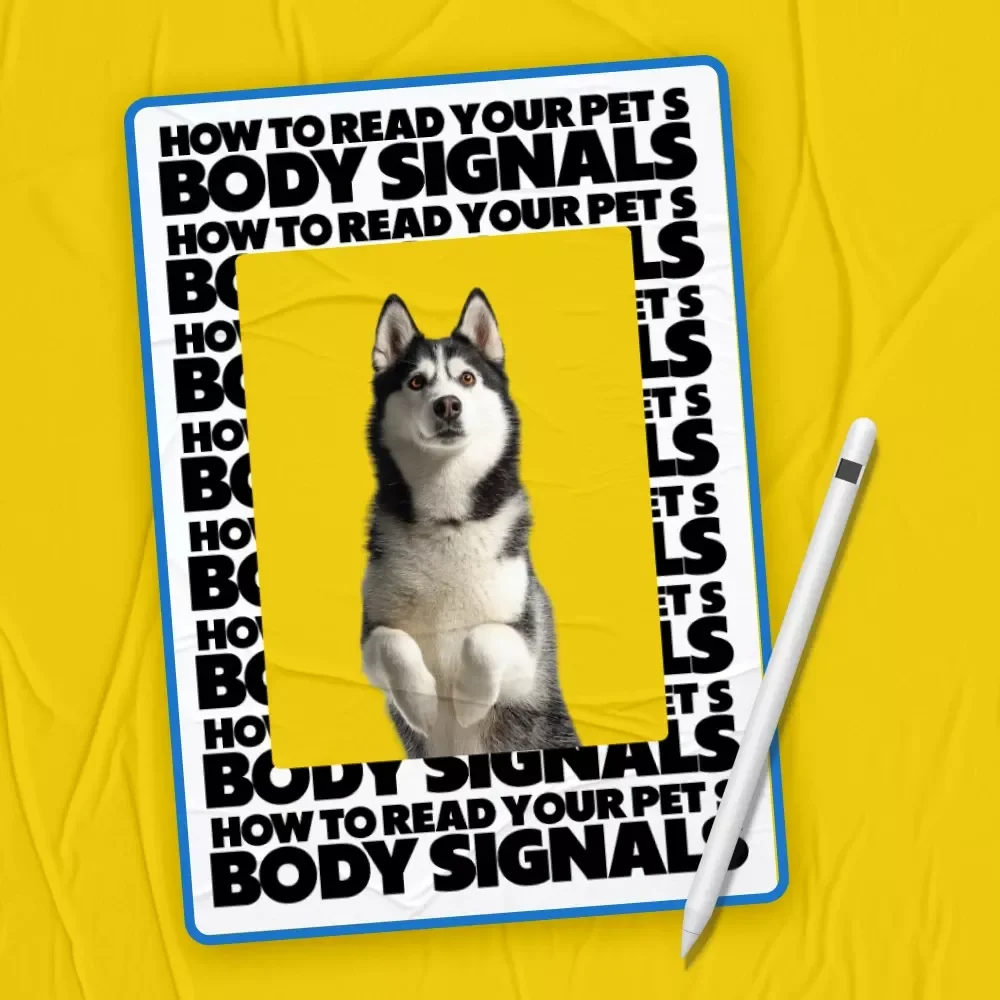 How to Read Your Pet’s Body Signals | how to read pet body signals eBook | Digital Download Guide for Understanding Pet Emotions & Communication
