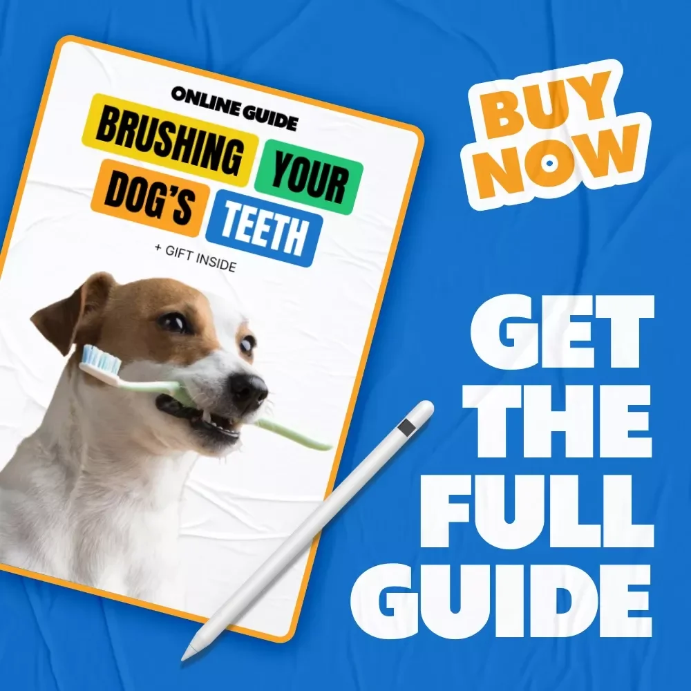 Brushing Your Dog’s Teeth: The Ultimate Guide to Healthy Smiles and Fresh Breath