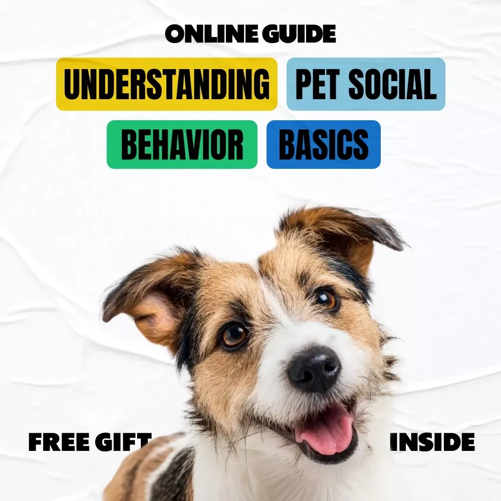Understanding Pet Social Behavior Basics | Digital Download eBook for Pet Parents | Guide to Training, Social Skills & Early Socialization | pet social behavior basics