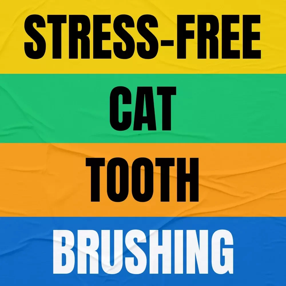 Stress-Free Cat Tooth Brushing: The Ultimate Guide on How to Brush Cat Teeth Without Stress - eBook for Happy, Healthy Felines