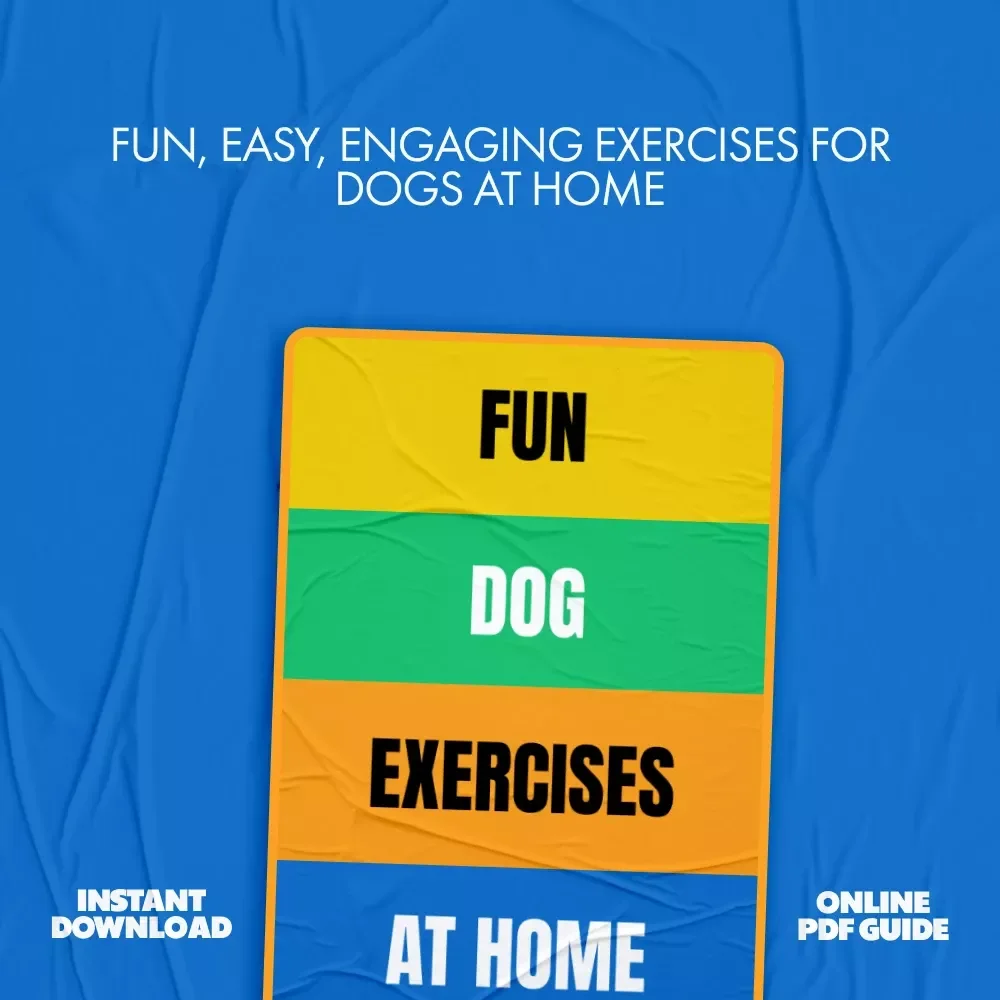 Fun Dog Exercises at Home Guide - Dog Exercise Ideas for Indoor & Outdoor Play
