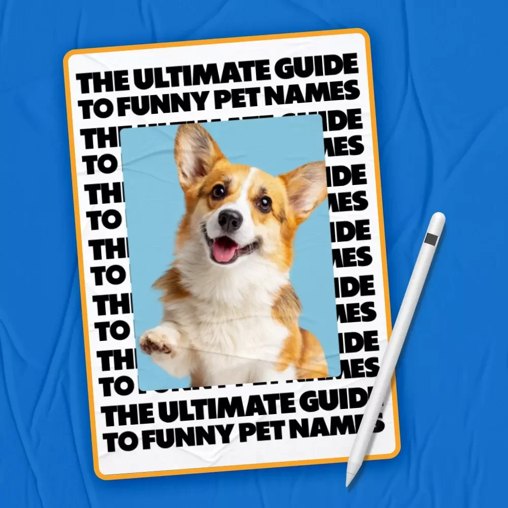 The Ultimate Guide to Funny Pet Names: Creative & Comical Ideas for Your Furry Friend