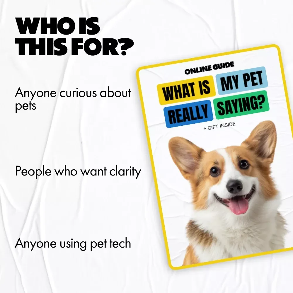 What Is My Pet Really Saying? | Smart Pet Behavior Guide Using AI Pet Behavior Analysis Tools for Curious Pet Parents