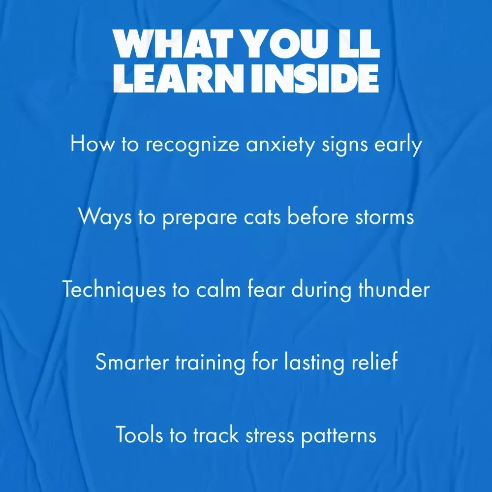 Managing Cat Anxiety During Thunderstorms | Calm Your Cat with Confidence | Practical eBook Guide for cat anxiety at thunderstorms