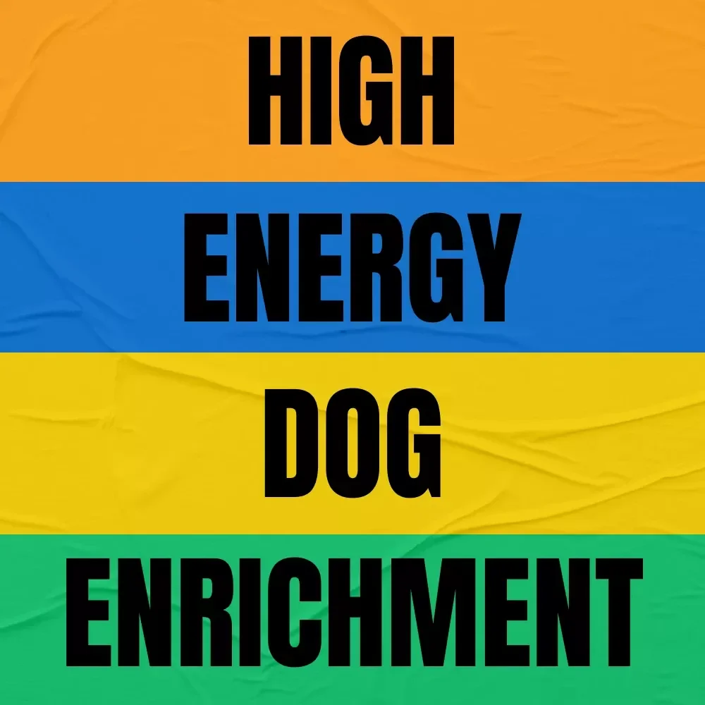 High Energy Dog Enrichment Checklist | Digital Download Guide for Mental Stimulation, Physical Exercise, Interactive Play with Humans, Social Interaction & AI for Smart Enrichment