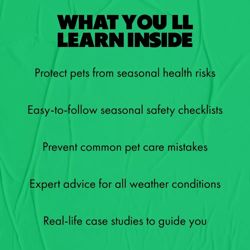 Keeping Your Pet Safe Year-Round: Essential Guide to Seasonal Pet Safety