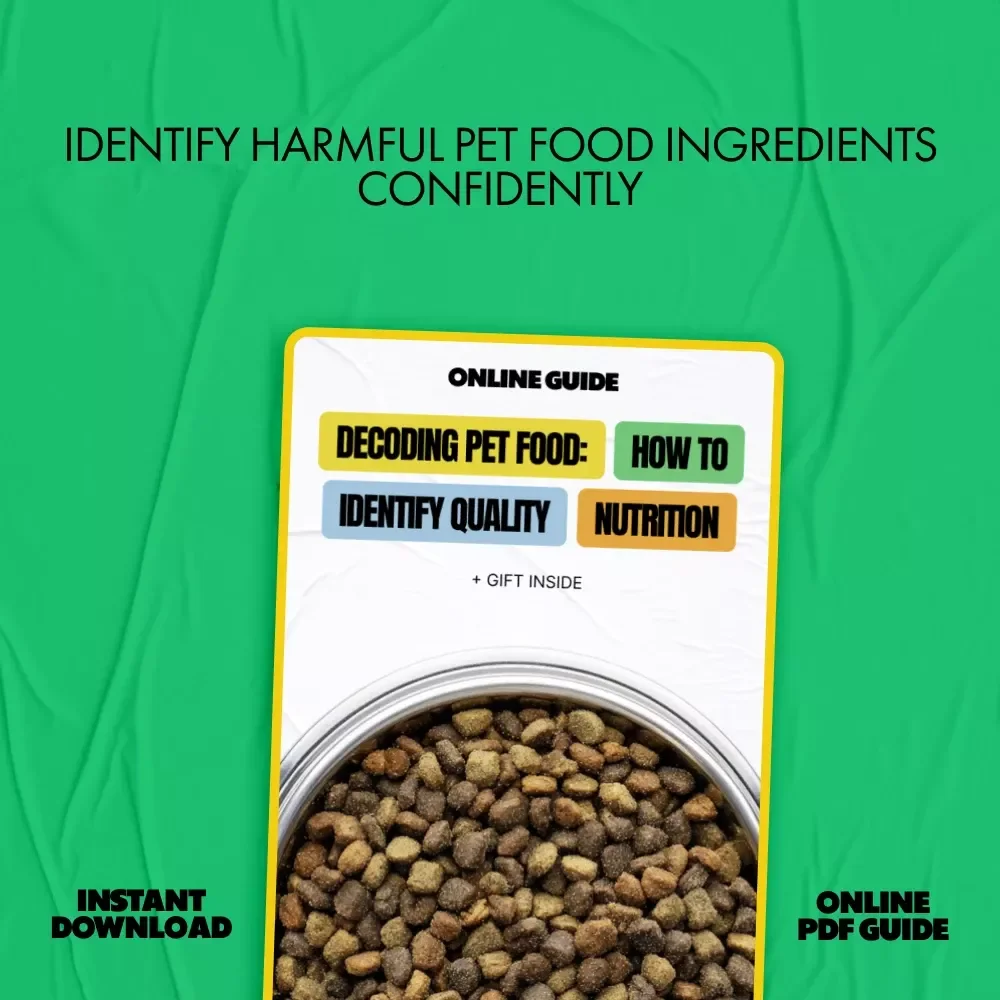 Decoding Pet Food: How to Identify Quality Nutrition | Pet Nutrition Guide for Pet Parents | Learn how to tell if pet food is high quality