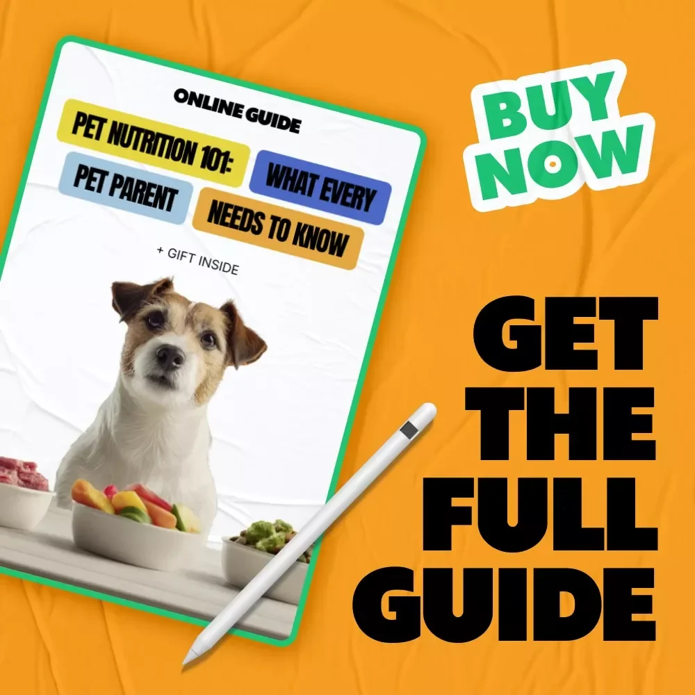 Pet Nutrition 101: What Every Pet Parent Needs to Know | Essential Pet Food Guide, Nutrition Basics Every Pet Parent Should Know | Digital eBook Download