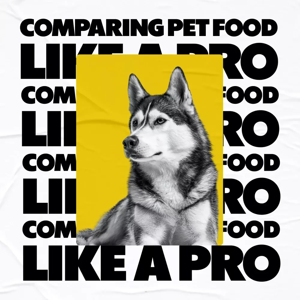 Comparing Pet Food Like a Pro | Digital Checklist for Pet Parents | Instant Download Guide on **how to compare pet food** | Cat & Dog Food Ingredient Comparison Printable