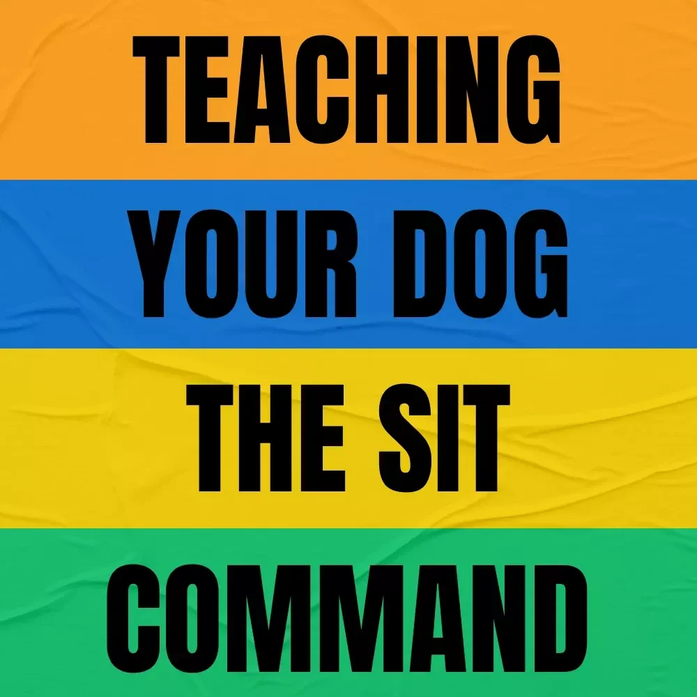 Teaching Your Dog the Sit Command | Dog Training Guide Download, Puppy Obedience eBook, Instant Digital PDF for Beginners & Pet Owners