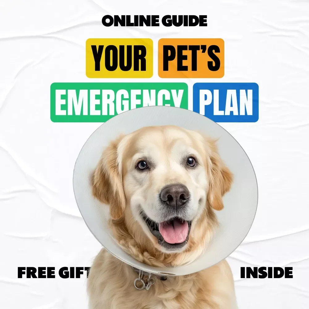 Your Pet’s Emergency Plan: The Ultimate Guide & Checklist on How to Make Pet Emergency Plan for Dogs, Cats, and Small Pets