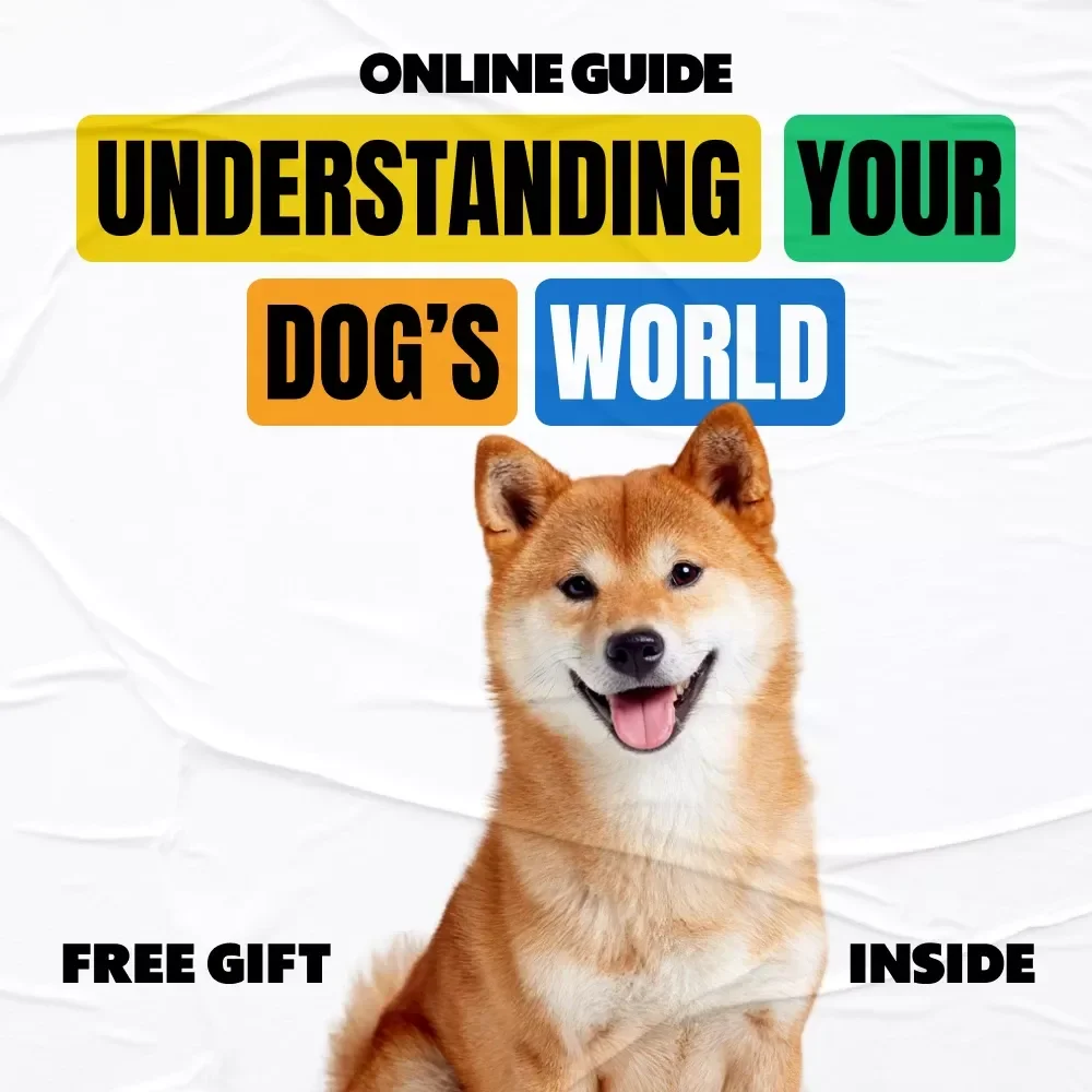 Understanding Your Dog’s World – A Practical Guide to Dog Behavior Explained Simply for Confident, Connected Pet Parents