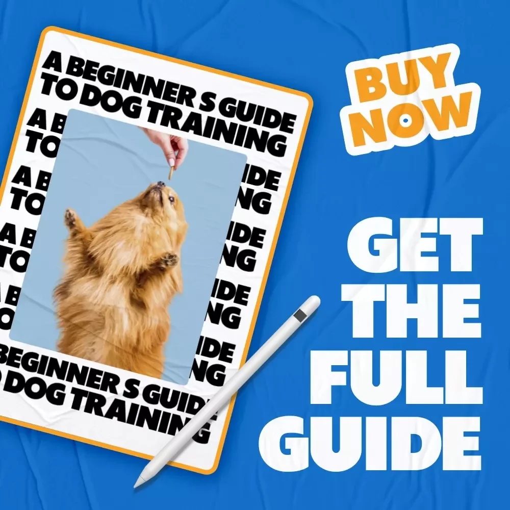 A Beginner’s Guide to Dog Training | Step-by-Step Guide with Dog Training Tips for Beginners | Easy Commands, Positive Reinforcement & AI Tools for New Dog Owners