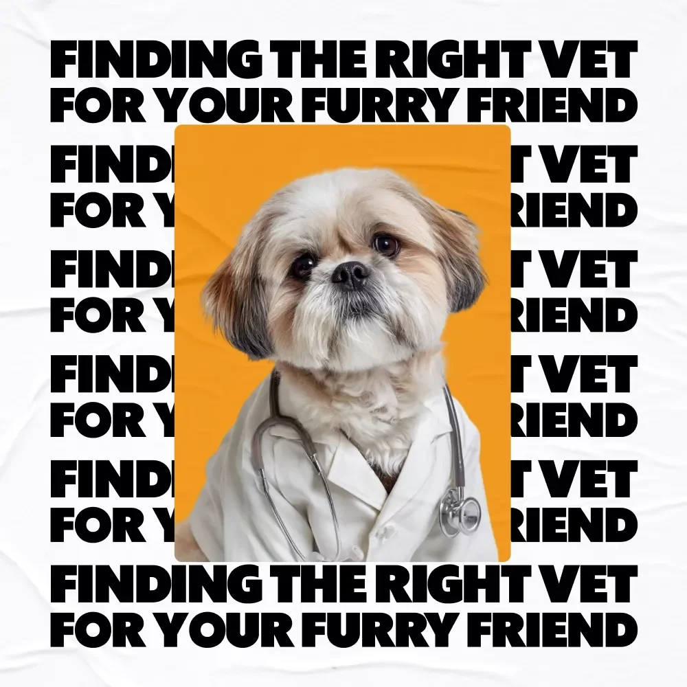 Finding the Right Vet for Your Furry Friend: The Ultimate Guide on How to Choose a Vet for Your Pet