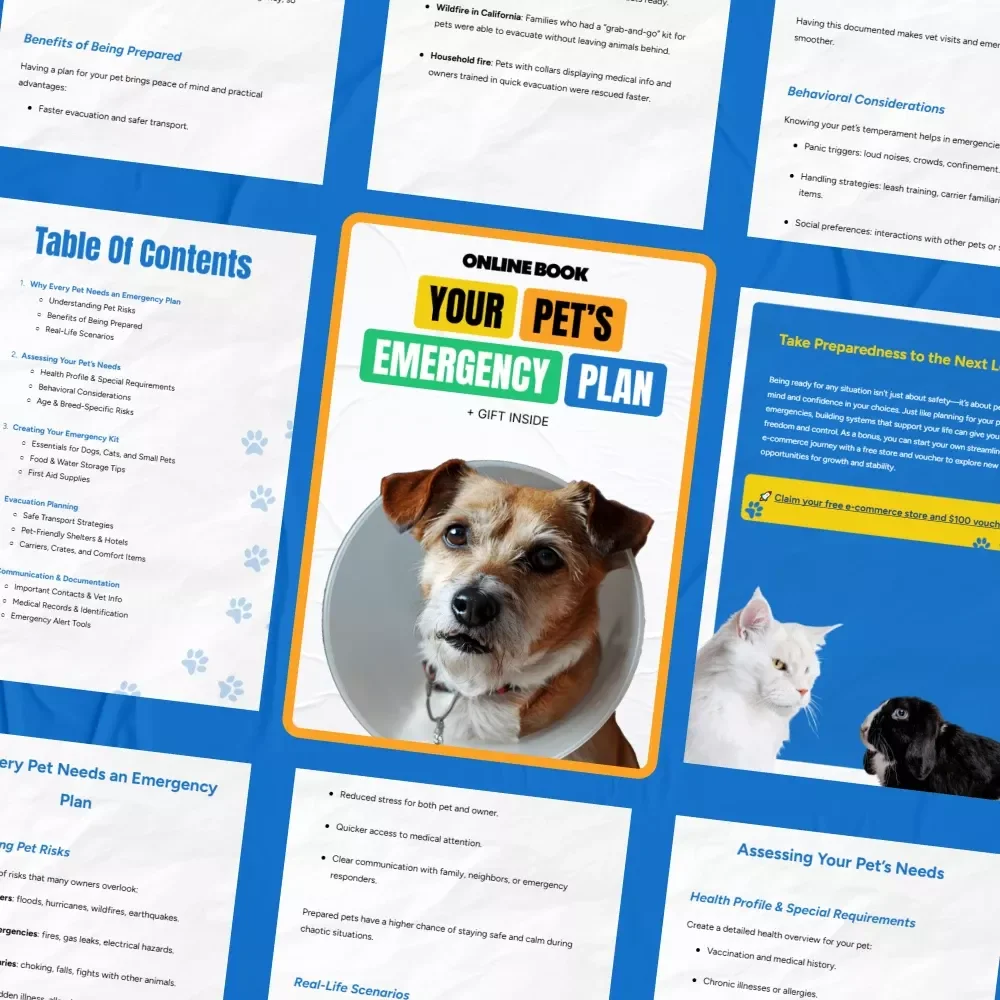 Your Pet’s Emergency Plan: The Ultimate Guide & Checklist on How to Make Pet Emergency Plan for Dogs, Cats, and Small Pets