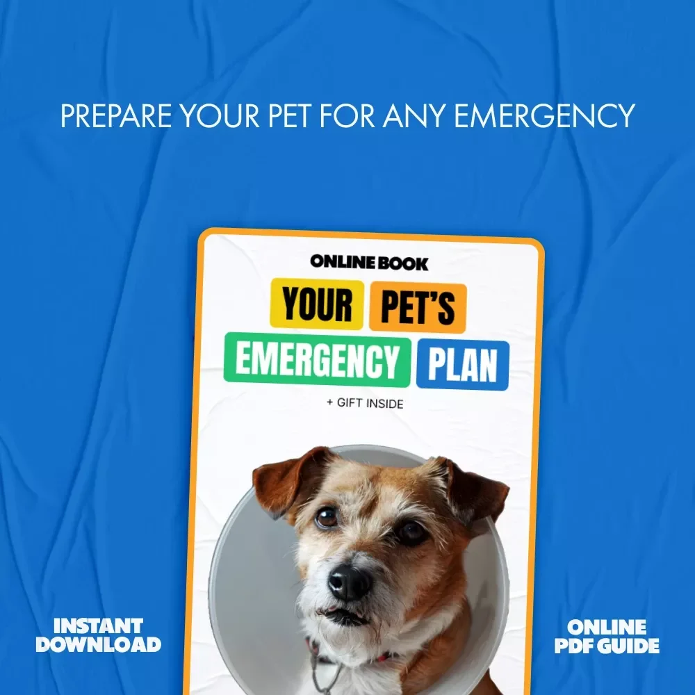 Your Pet’s Emergency Plan: The Ultimate Guide & Checklist on How to Make Pet Emergency Plan for Dogs, Cats, and Small Pets