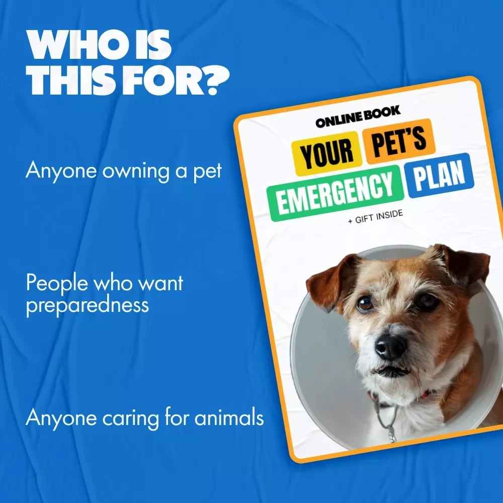 Your Pet’s Emergency Plan: The Ultimate Guide & Checklist on How to Make Pet Emergency Plan for Dogs, Cats, and Small Pets