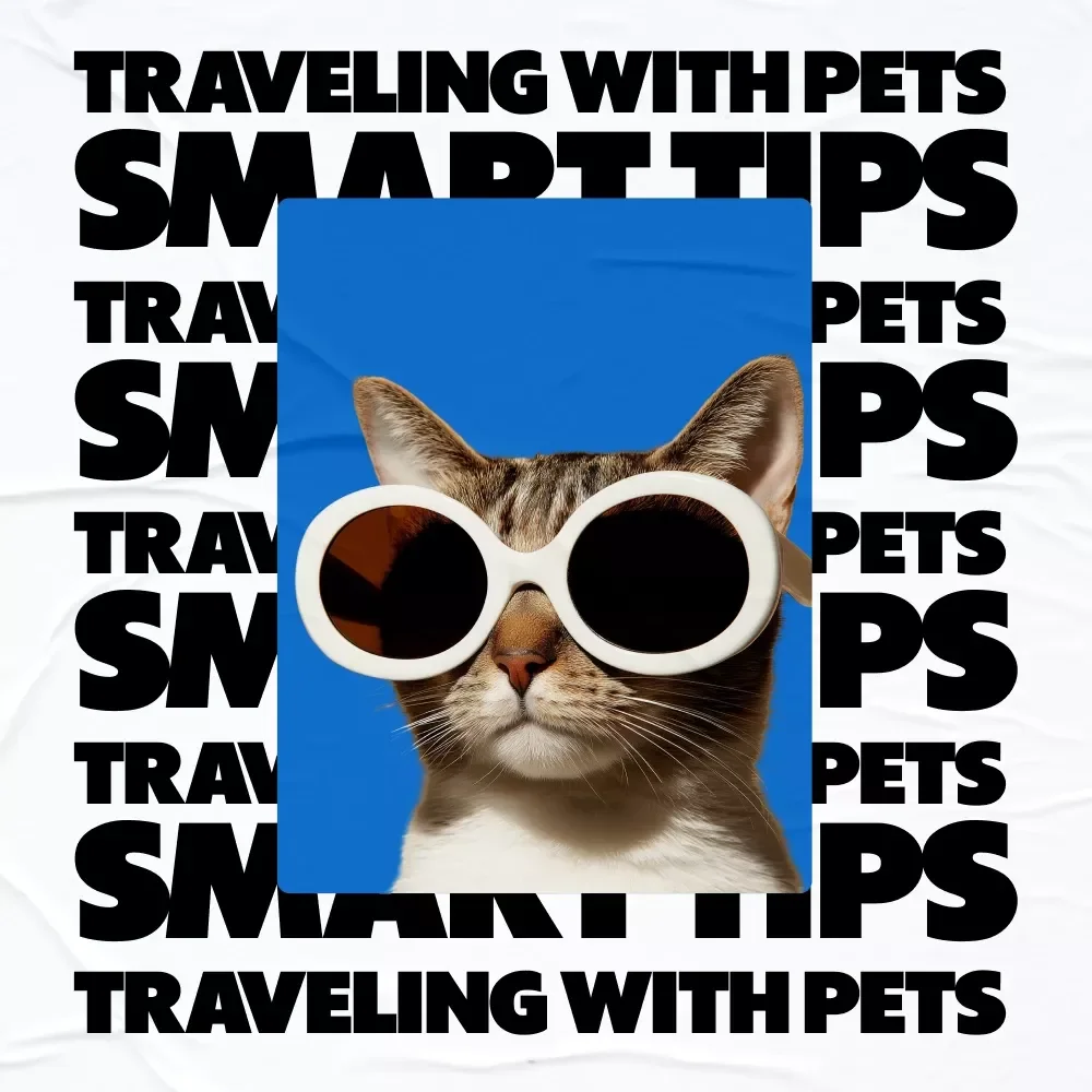 Smart Tips for Traveling with Pets | Essential Hotel Travel Pet Tips eBook for Stress-Free Pet-Friendly Trips