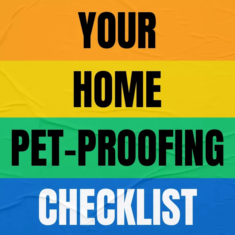 Your Home Pet-Proofing Checklist: Essential Guide to a Safe, Pet-Friendly Home