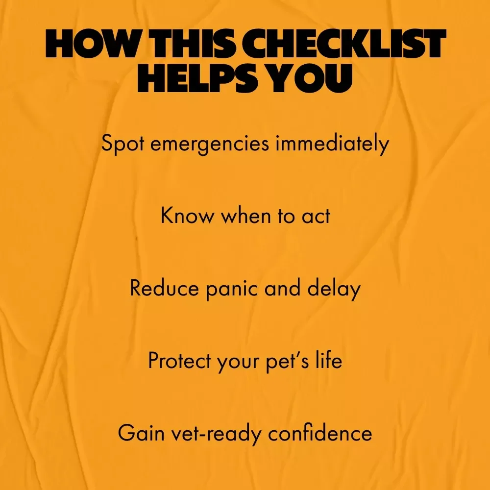 10 Signs to Call the Vet Immediately | Emergency Pet Health Checklist