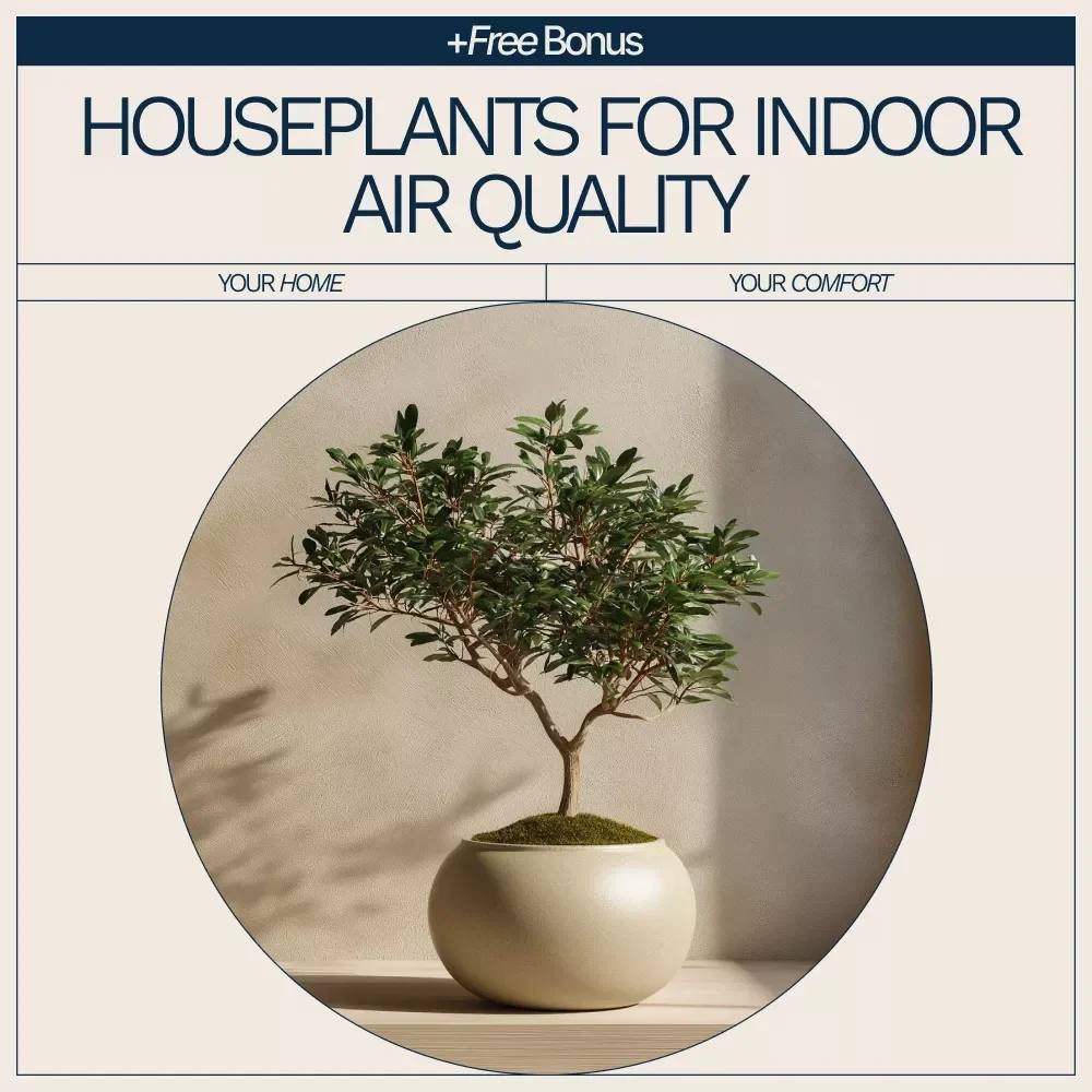 Best Houseplants for Indoor Air Quality Checklist | Easy Air-Purifying Plant Guide for a Healthier Home