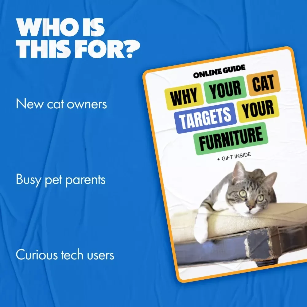 Why Your Cat Targets Your Furniture – A Practical Guide Explaining Why Does My Cat Scratch Furniture & How to Stop It