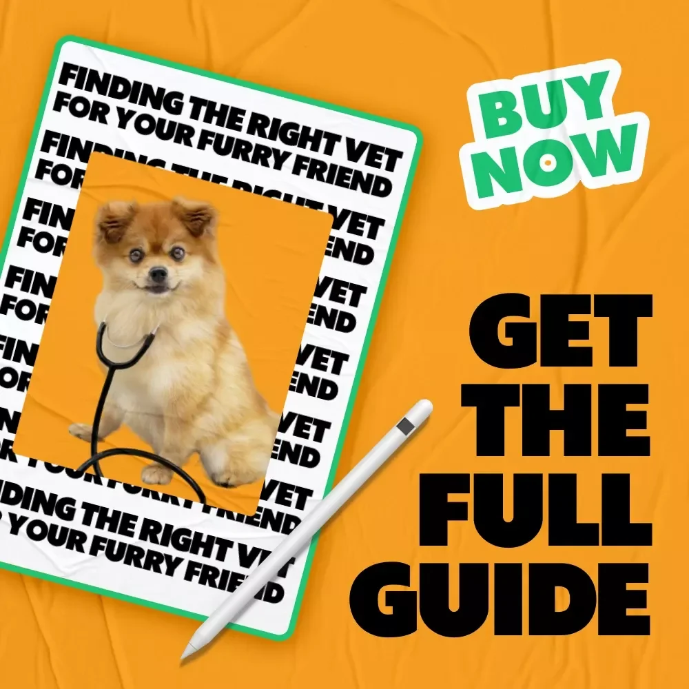 Finding the Right Vet for Your Furry Friend: The Ultimate Guide on How to Choose a Vet for Your Pet