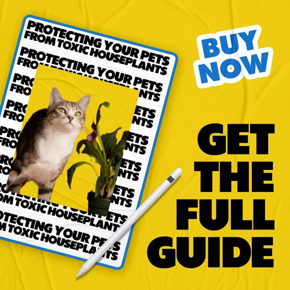 Protecting Your Pets from Toxic Houseplants: A Must-Have Guide for Pet Owners