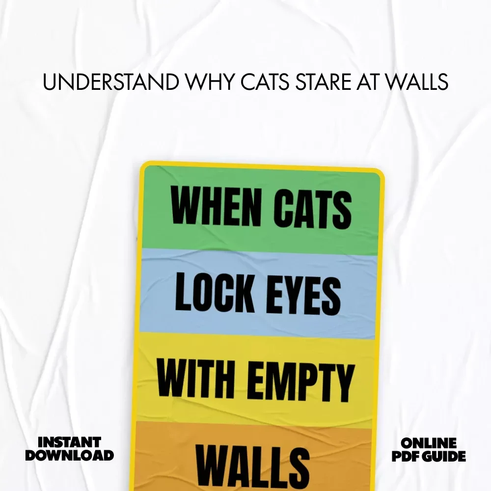 When Cats Lock Eyes With Empty Walls – A Curious Cat Owner’s Guide to Understanding Strange Staring Behavior | why does my cat stare at walls