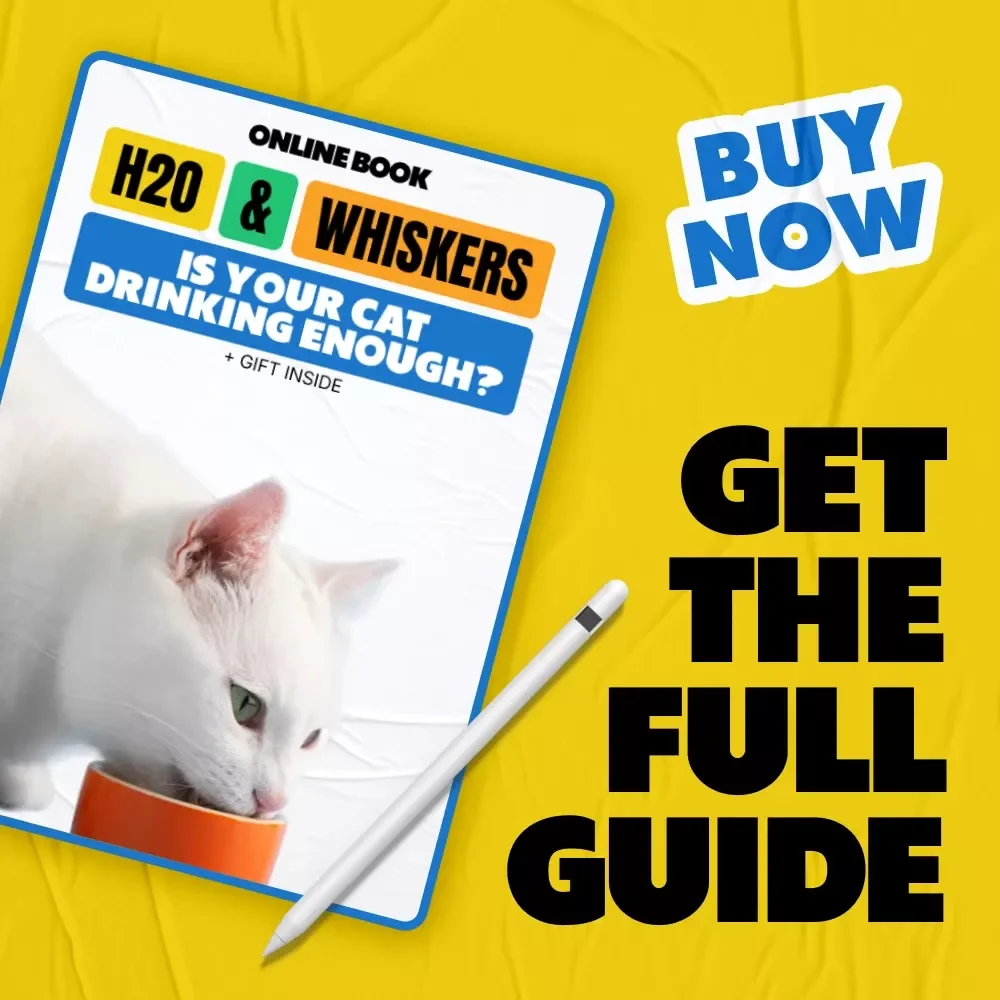 H2O & Whiskers: Is Your Cat Drinking Enough – A Practical eBook Guide for Cat Owners