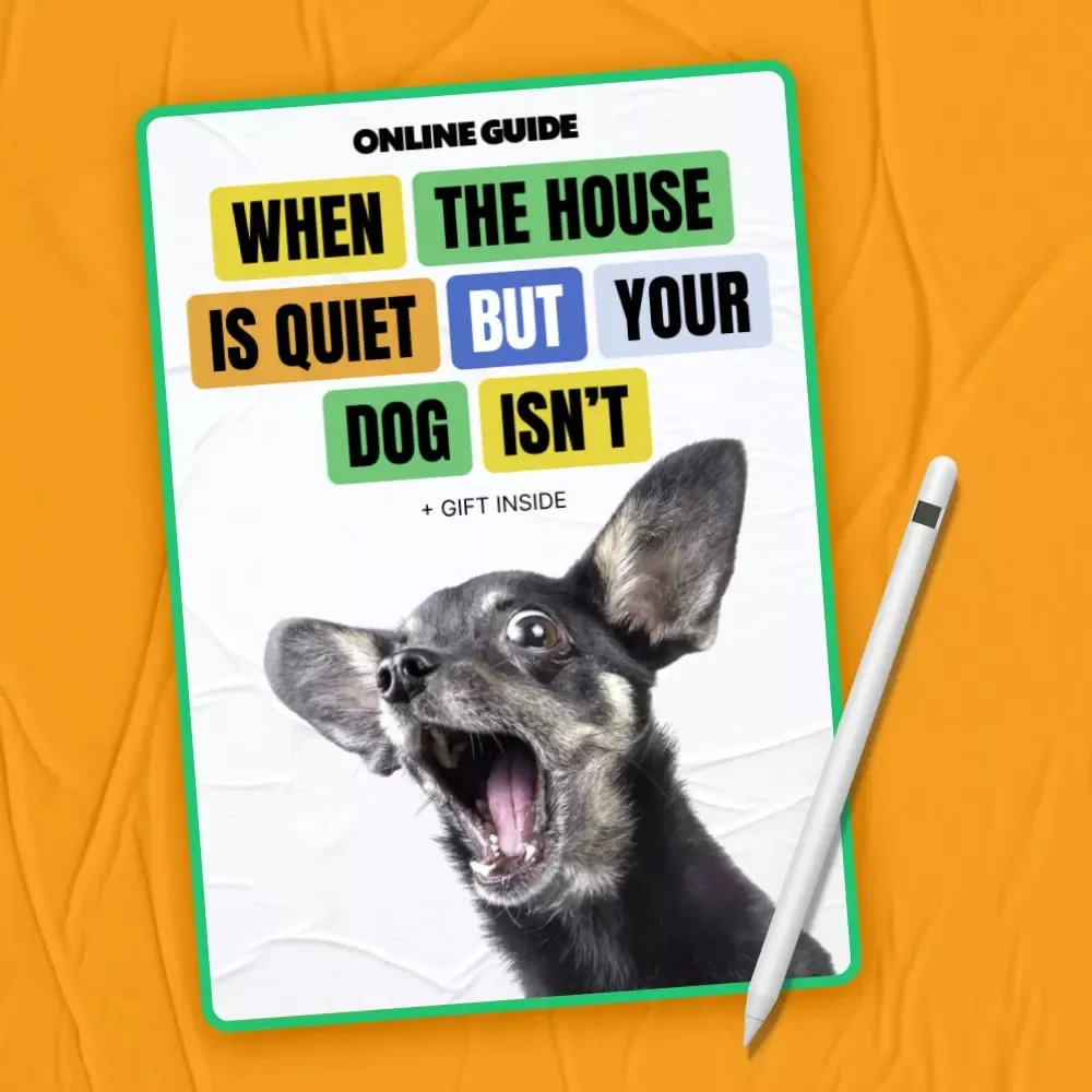 When the House Is Quiet but Your Dog Isn’t – Nighttime Barking Guide | why does my dog bark at night | Calm Evenings Digital Download