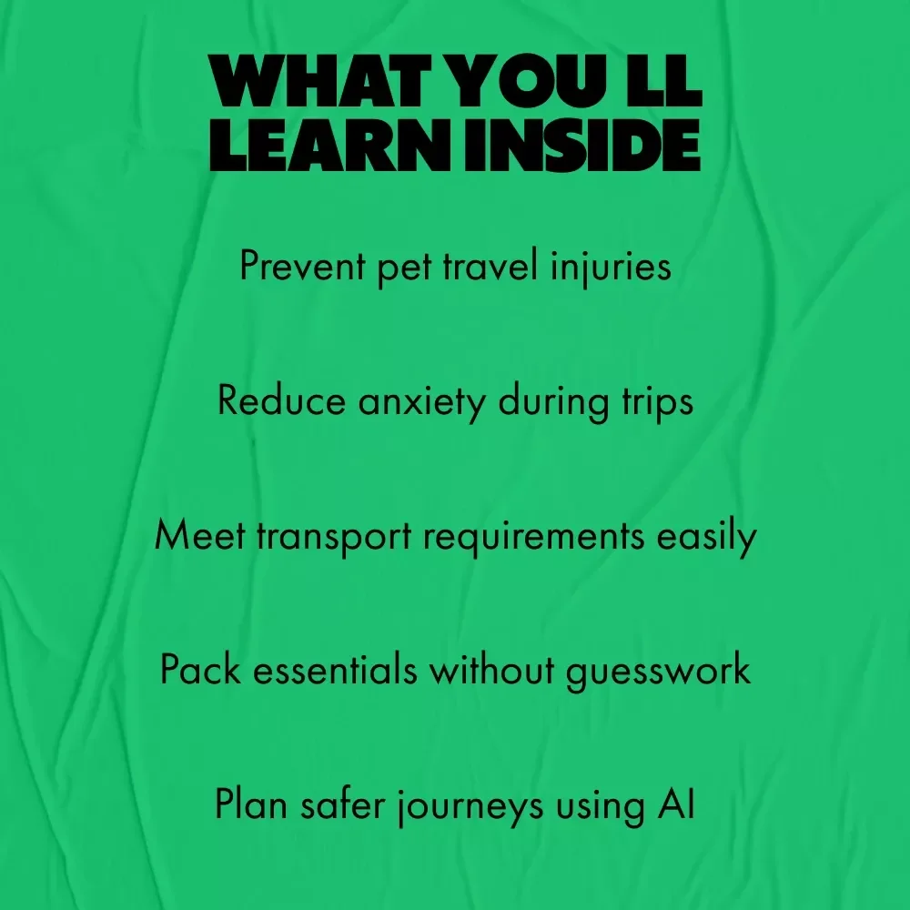 Essential Pet Travel Safety Tips | Digital eBook Guide for Stress-Free Trips with Pets